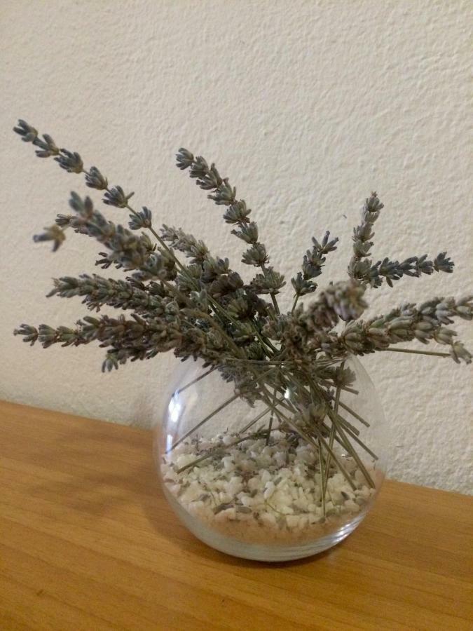 Apartmani Brusel Pag Εξωτερικό φωτογραφία